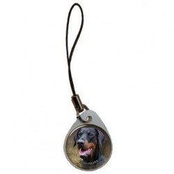 Dobermann