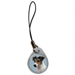 Jack Russell Terrier