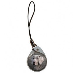Weimaraner