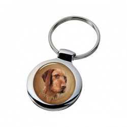 Magyar Vizsla