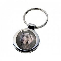 Weimaraner