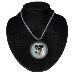 Jack Russell Terrier