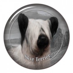 Skye Terrier