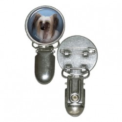 Chinese Crested Dog