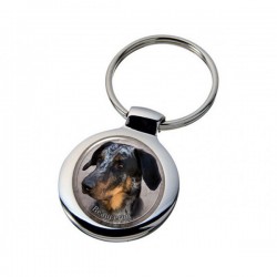 Beauceron