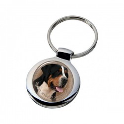 Großer Schweizer Sennenhund