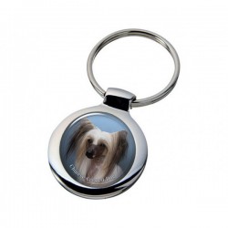 Chinese Crested Dog
