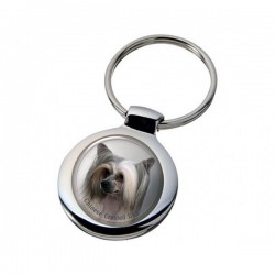 Chinese Crested Dog