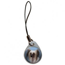 Chinese Crested Dog