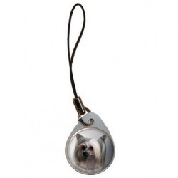 Chinese Crested Dog