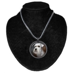 Schnauzer