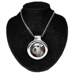 Schnauzer