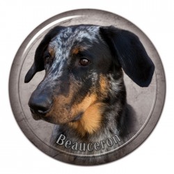 Beauceron