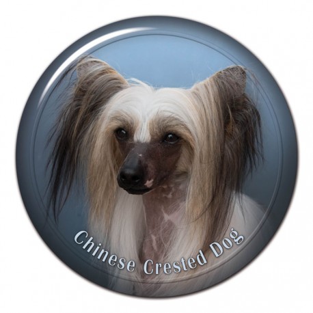 Chinese Crested Dog Chinese Crested Dog