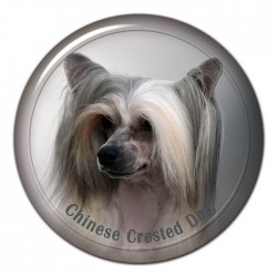 Chinese Crested Dog