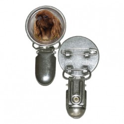 King Charles Spaniel
