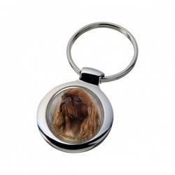 King Charles Spaniel