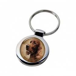 Irish Red Setter