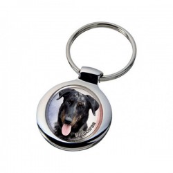 Beauceron