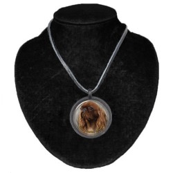 King Charles Spaniel