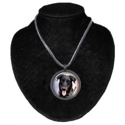 Beauceron