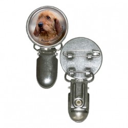 Basset fauve de Bretagne