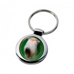Irish Soft Coated Wheaten Terrier