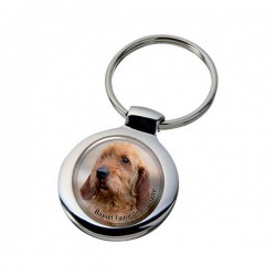 Basset fauve de Bretagne