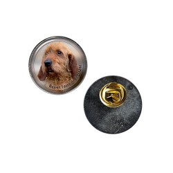 Basset fauve de Bretagne