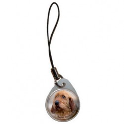 Basset fauve de Bretagne