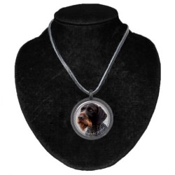 Deutscher Drahthaariger Vorstehhund