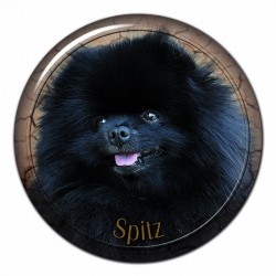 Spitz