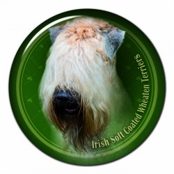 Irish Soft Coated Wheaten Terrier