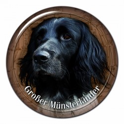 Grosser Münsterländer