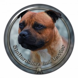 Staffordshire Bullterrier
