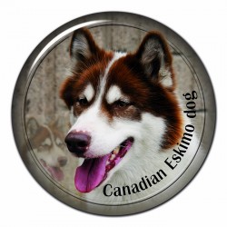 Canadian Eskimo Dog