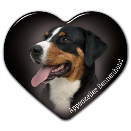 Appenseller Sennenhund Appenseller Sennenhund