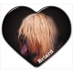 Briard