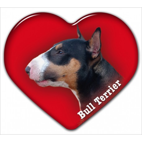 Bull Terrier Bull Terrier