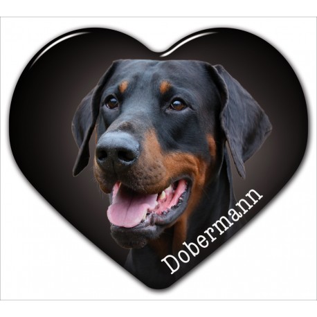 Dobermann Dobermann