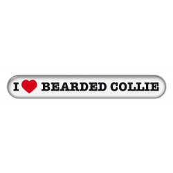 Bearded Collie