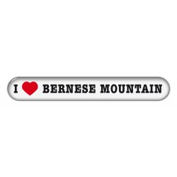 Bernese Mountain Dog