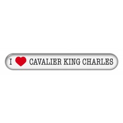 Cavalier King Charles