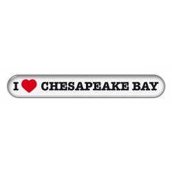 Chesepeake Bay Retriever