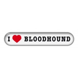 Bloodhound