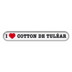 Cotton de Tulear