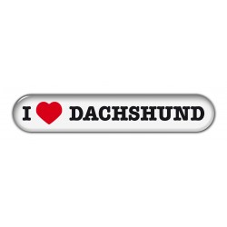 Dachshund