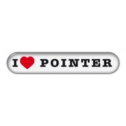 English Pointer