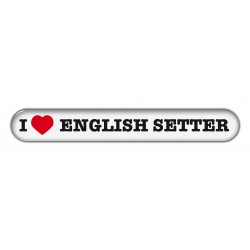 English Setter