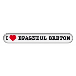 Epagneul Breton